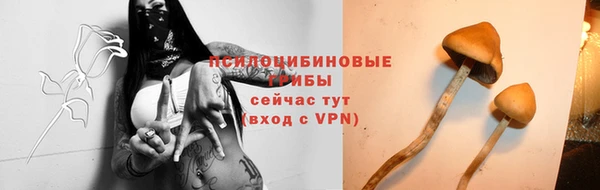 ГАЛЛЮЦИНОГЕННЫЕ ГРИБЫ Баксан