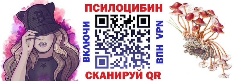 купить   Верхний Уфалей  Псилоцибиновые грибы Magic Shrooms 