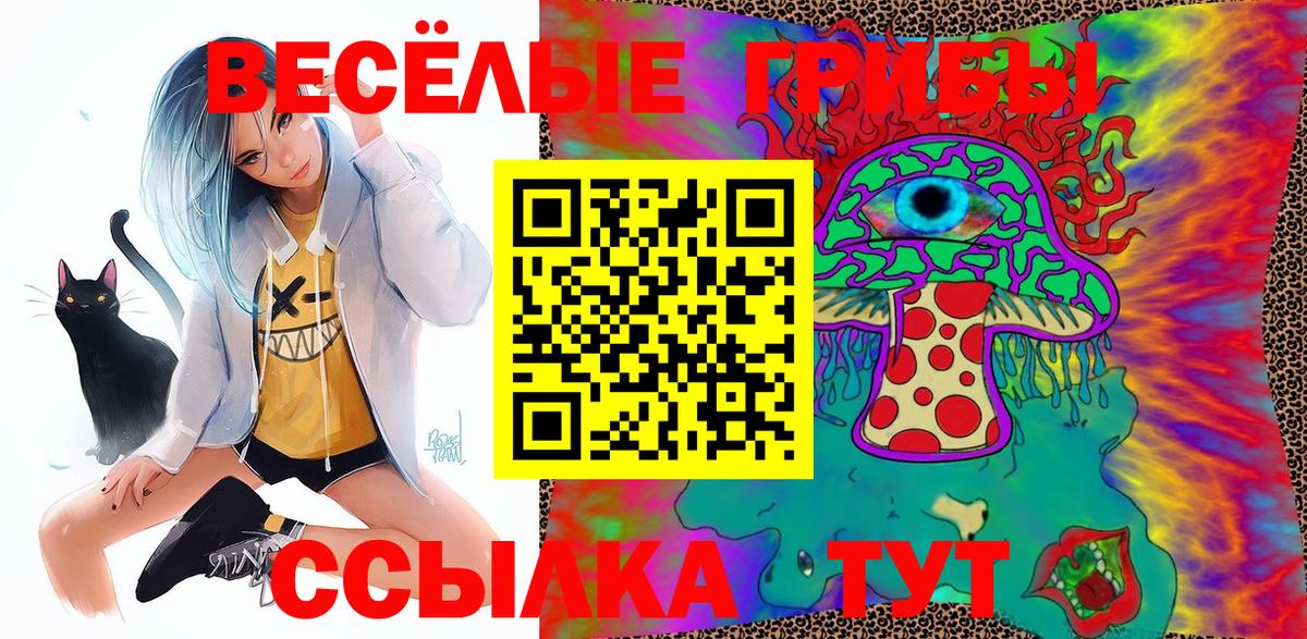 Псилоцибиновые грибы Psilocybe Верхний Уфалей