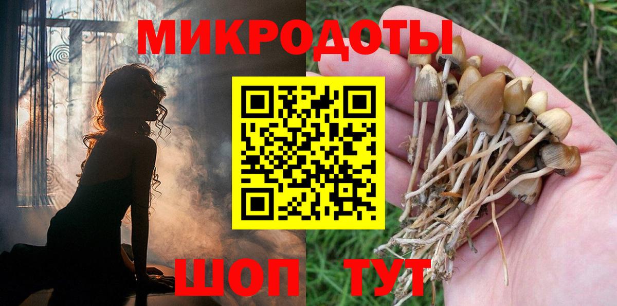 Псилоцибиновые грибы Psilocybine cubensis Верхний Уфалей